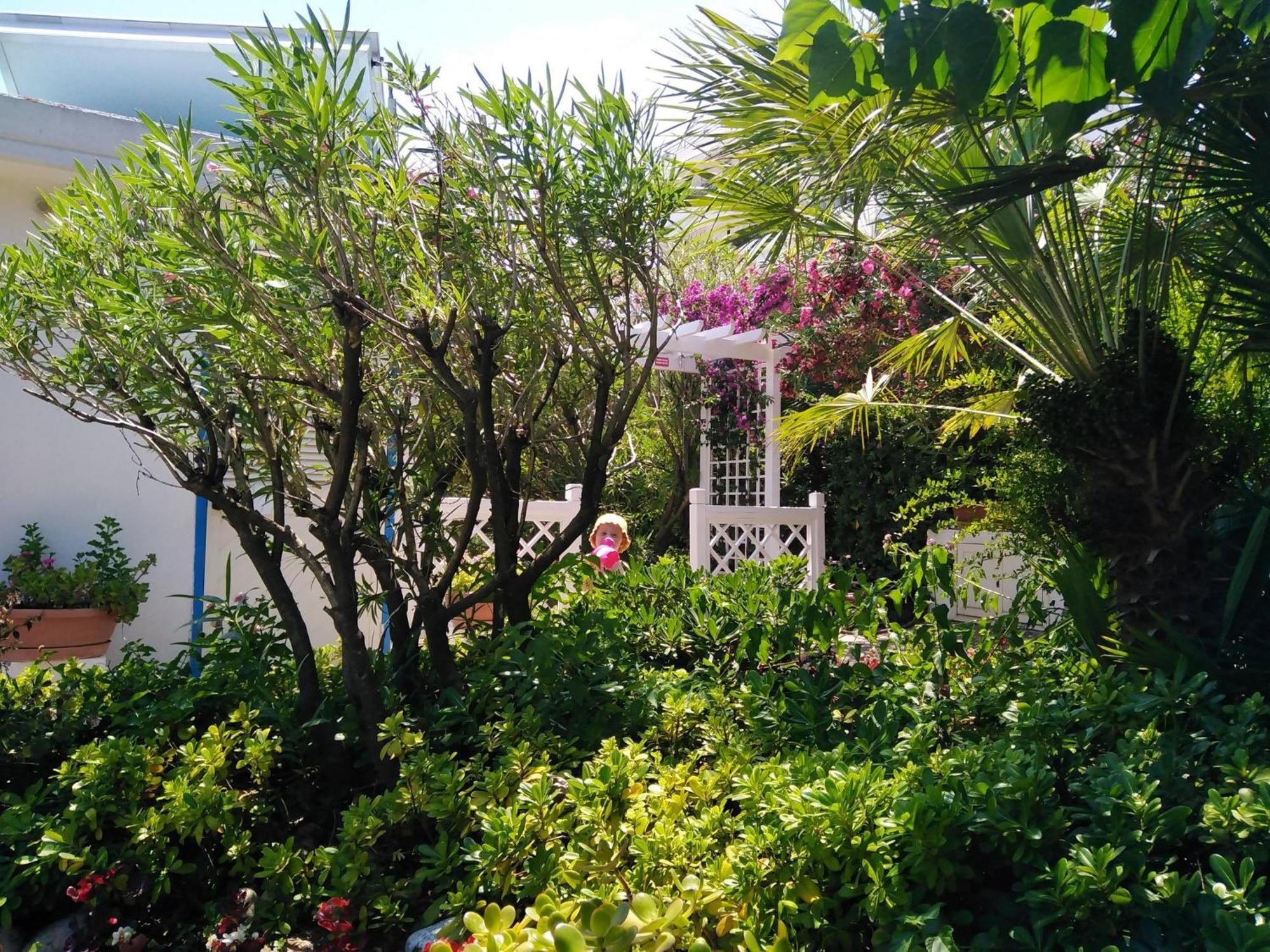 Hotel Parco Delle Rose Silvi Marina Kültér fotó